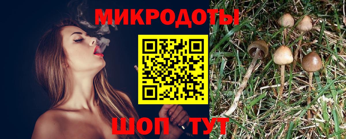 Галлюциногенные грибы Cubensis  Вход с VPN  Советск 
