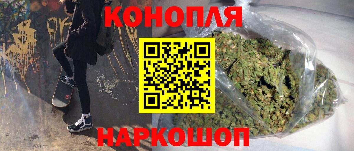 Бошки Шишки план Советск
